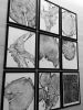 Grand Canyon Arizona | Prints by Erik Linton. Item made of paper works with rustic style