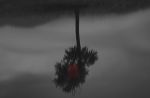 Above the Depth – Fine Art Photography | Photography by ANDRES GALAN. Item made of canvas with aluminum works with contemporary & modern style