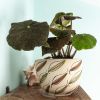 Large 'Bamboo' stoneware plant pot | Planter in Vases & Vessels by Kyra Mihailovic Ceramics. Item made of ceramic