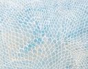 Oval Scales | Limited Edition Print | Multiple Sizes Available | Art & Wall Decor by Seth B Minkin Fine Art | Seth B Minkin Studio + Showroom in Boston