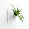 Node XL Wall Planter, 15" Mid Century Modern Planter, White | Plant Hanger in Plants & Landscape by Pandemic Design Studio. Item made of stoneware works with mid century modern & japandi style