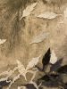 Black Winds | Mixed Media in Paintings by Vero Gonzalez Ugarte. Item made of canvas & paper compatible with contemporary style