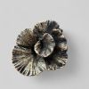 Forest Floor pull | Hardware by The Vula Collection. Item composed of bronze