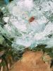 Terra Cotta Vase - Large Floral Painting on canvas | Oil And Acrylic Painting in Paintings by Filomena Booth Fine Art. Item made of canvas works with contemporary & modern style