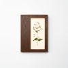 Herbarium Mini: Lunaria Annua - Wall Light Sculpture | Wall Sculpture in Wall Hangings by Mateusz Wappa Design & Research. Item made of birch wood & glass compatible with minimalism and modern style