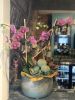 Vibrant orchid arrangement | Floral Arrangements by Fleurina Designs | LUNA Mexican Kitchen - The Alameda in San Jose