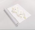Orchid Botanical Art Print White Cloud | Photography by Tal Shpantzer | Talfoto Studio
