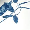 Creekside Madrone (22 x 30" cyanotype painting on paper) | Watercolor Painting in Paintings by Christine So. Item made of paper compatible with boho and country & farmhouse style