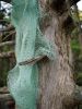 Lichen Pendant | Sculptures by Morgan Hale. Item composed of paper & fiber compatible with minimalism and mid century modern style