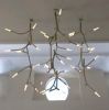 newGROWTH2 Flush Mount | Pendants by CP Lighting. Item composed of brass & synthetic