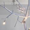 newGROWTH with linked branch support | Chandeliers by CP Lighting. Item composed of aluminum
