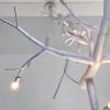 newGROWTH with linked branch support | Chandeliers by CP Lighting. Item composed of aluminum in contemporary or country & farmhouse style