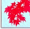 Sunrise Japanese Maple II: Framed to 38 x 38" | Oil And Acrylic Painting in Paintings by Christine So. Item composed of canvas in contemporary or japandi style