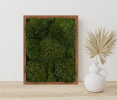 100% Live Moss Wall Art in Brown | Living Wall in Plants & Landscape by Moss Pure. Item composed of wood compatible with contemporary and industrial style