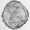 Flathead Lake Montana Driftwood | Prints by Erik Linton. Item composed of paper compatible with rustic style