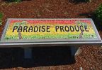 Seat in Paradise - inlaid glass mosaic concrete bench | Public Mosaics by Rochelle Rose Schueler - Wild Rose Artworks LLC | Paradise Produce in Bend. Item composed of concrete