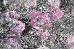 Mitosis 4 | Prints by Costas Picadas | New York in New York. Item composed of paper