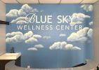 Blue Sky Wellness Center Mural | Murals by Toni Miraldi / Mural Envy, LLC | Blue Sky Wellness Center 193 East Avenue Norwalk CT 06855 in Norwalk. Item composed of synthetic