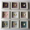 Love Boxes – White Frame | Decorative Frame in Decorative Objects by Lorna Doyan