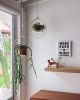 Plant Hanger | Plants & Landscape by Braid & Wood Design Studio | Work Hard Plant Hard in Encinitas. Item composed of maple wood and cotton