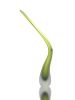 Veer Vase | Decorative Objects by The Goodman Studio