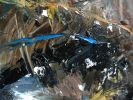Foret | Oil And Acrylic Painting in Paintings by Candace Wilson Art Studio