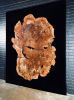 Claro Walnut Burl Epoxy Casted Barn Doors | Furniture by Live Edge Lust. Item composed of wood