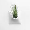 Node M Wall Planter, 9" Mid Century Modern Planter, White | Plant Hanger in Plants & Landscape by Pandemic Design Studio. Item composed of stoneware in minimalism or mid century modern style