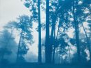 Morning Valley Light: 24x18" unframed hand-printed cyanotype | Photography by Christine So. Item made of cotton with paper works with boho & country & farmhouse style