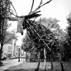 Beacon Moose | Public Sculptures by Alberto Bursztyn