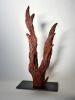 Ancient Tree I - Small Wood Sculpture | Sculptures by Lutz Hornischer - Sculptures in Wood & Plaster. Item made of wood