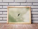 Bird | Limited Edition Print | Photography by Tal Paz-Fridman | Limited Edition Photography. Item made of paper works with minimalism & contemporary style