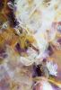 Abstract Art, Soft Layers in purple, gold, white, cranberry | Oil And Acrylic Painting in Paintings by Lynette Melnyk. Item made of canvas