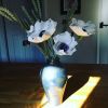 White poppy arrangement | Plants & Flowers by Park Ceramics and Gifts by Amanda Westbury