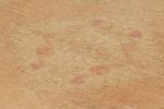 Vintage Oushak Rug in Beige-Brown with Geometric Patterns | Area Rug in Rugs by Rug and Kilim