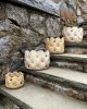 Small Cushion Planter (PRE-ORDER) | Vases & Vessels by Kym Gardner Designs. Item composed of stoneware