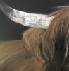 Bullpen Baron | Paintings by Marilyn Landers