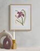 Lily No. 16 : Original Watercolor Painting | Paintings by Elizabeth Becker. Item made of paper compatible with boho and minimalism style