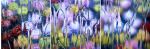 Photographs from After Painting series | Oil And Acrylic Painting in Paintings by Carol Inez Charney | SLATE Art LLC in Oakland. Item composed of canvas