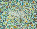 White Circles III | Limited Edition Print | Multiple Sizes Available | Art & Wall Decor by Seth B Minkin Fine Art | Seth B Minkin Studio + Showroom in Boston