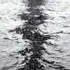 Dark Reflections | Prints by House of Bliss. Item in contemporary or coastal style