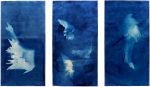 Hover Triptych | Prints by Ann Holsberry. Item composed of paper