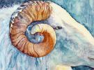 Resilient Ram | Oil And Acrylic Painting in Paintings by Catherine Twomey
