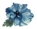 Anemone No. 6 : Original Watercolor Painting | Paintings by Elizabeth Becker. Item composed of paper compatible with boho and minimalism style