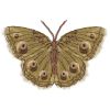 Butterfly "Digitally Embroidered" Art prints | Prints by Ri Anderson. Item composed of paper