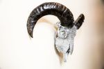 Ram Skull Covered with Swarovski Crystals | Ornament in Decorative Objects by Gypsy Mountain Skulls. Item compatible with contemporary and country & farmhouse style