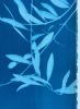 Blue Olive: 30 x 16 in. original cyanotype | Prints in Paintings by Christine So. Item composed of paper in boho or japandi style