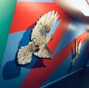 Doves for Peace Mosaic | Art & Wall Decor by J MUZACZ | Weitzman in Austin. Item composed of stone