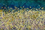 Gingko paintings/woodcuts | Mixed Media by Rosemary Feit Covey