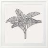 Tropical Plantation - 1 & 2 & 3 - Black - Framed Art | Prints by Patricia Braune. Item made of paper
